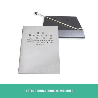 Acupuncture Model Pair for medical and anatomy education