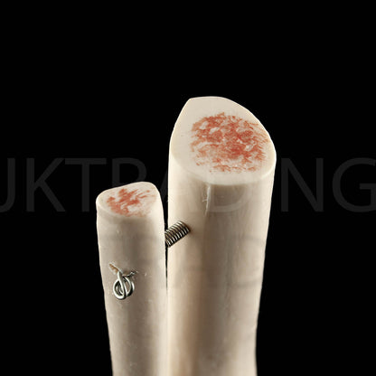 Life-Size Foot & Ankle Joint Anatomy Model for medical and anatomy education