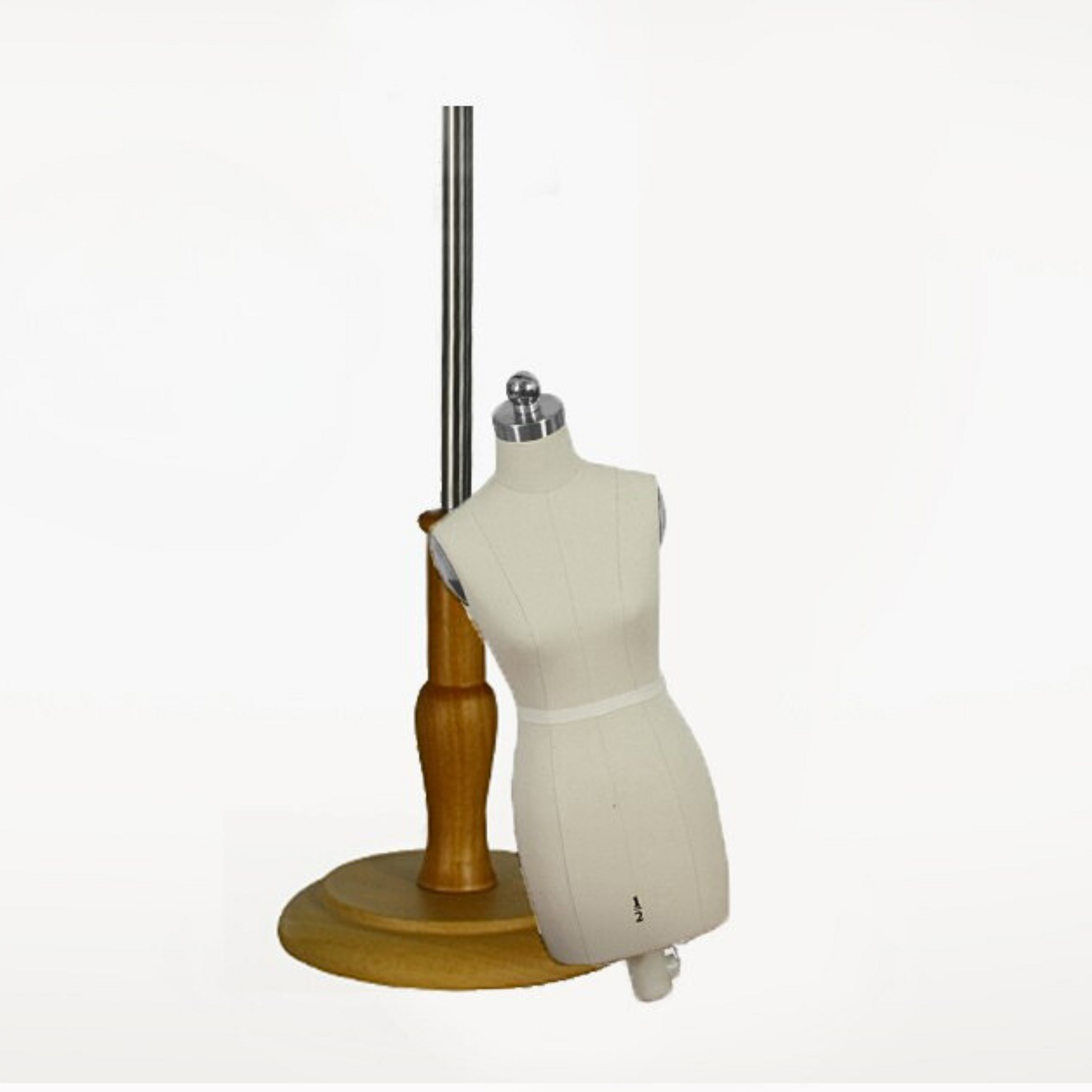 Mannequin torso on a wooden stand with a white background