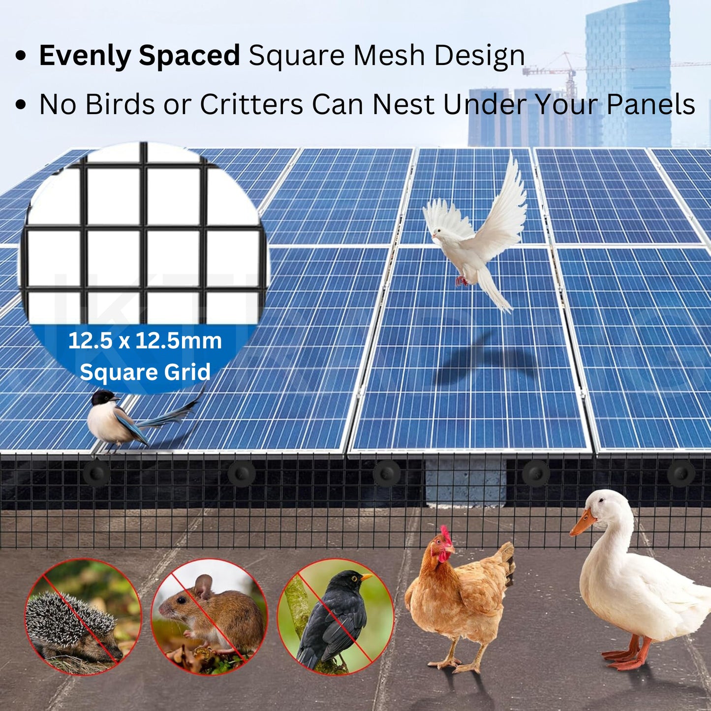 Solar panels with bird and critter exclusion grid, showing benefits and pests prevented.